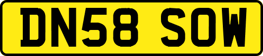 DN58SOW