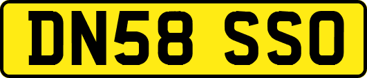 DN58SSO