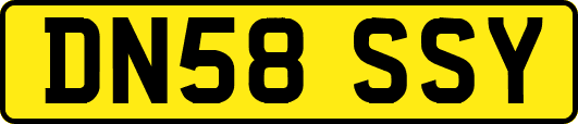 DN58SSY