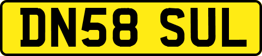 DN58SUL