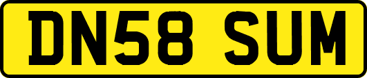 DN58SUM