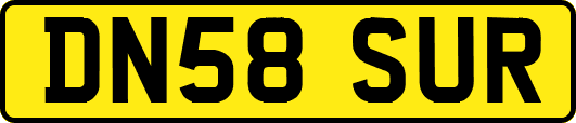 DN58SUR