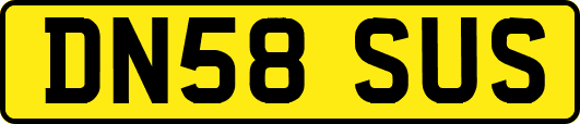 DN58SUS