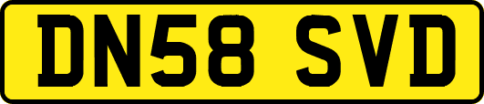 DN58SVD