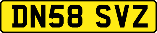DN58SVZ