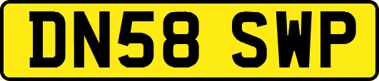 DN58SWP
