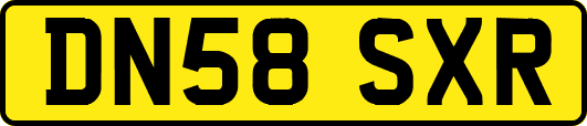 DN58SXR