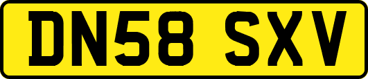 DN58SXV