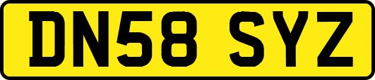 DN58SYZ