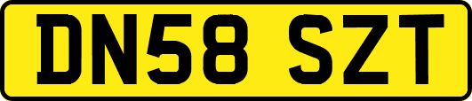 DN58SZT