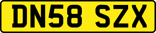 DN58SZX