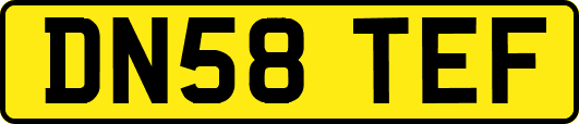 DN58TEF