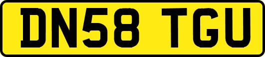 DN58TGU
