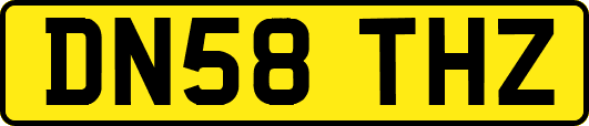 DN58THZ