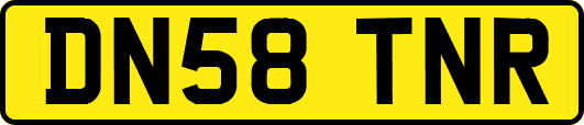 DN58TNR