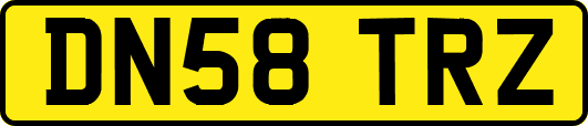 DN58TRZ