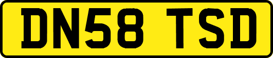 DN58TSD