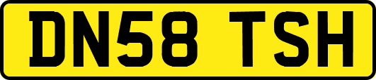 DN58TSH