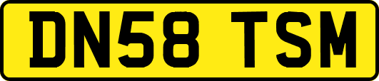 DN58TSM