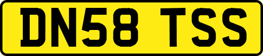 DN58TSS