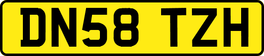 DN58TZH