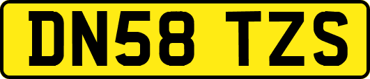 DN58TZS