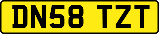 DN58TZT