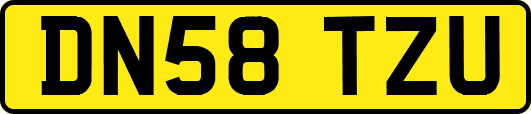 DN58TZU