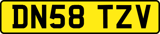 DN58TZV