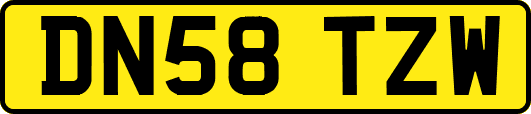 DN58TZW