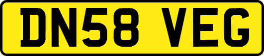 DN58VEG
