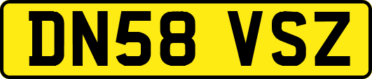 DN58VSZ