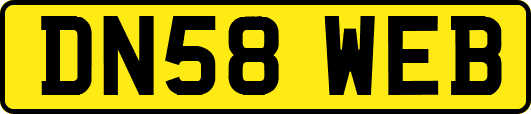 DN58WEB