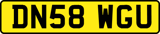 DN58WGU