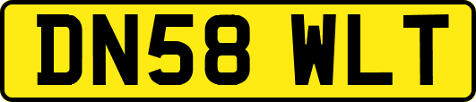 DN58WLT