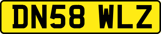 DN58WLZ