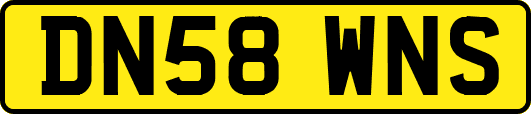 DN58WNS