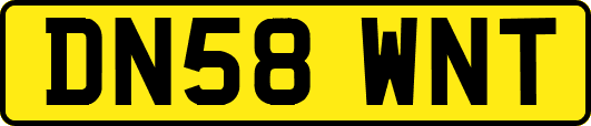DN58WNT