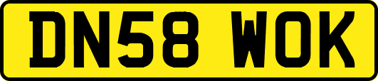 DN58WOK
