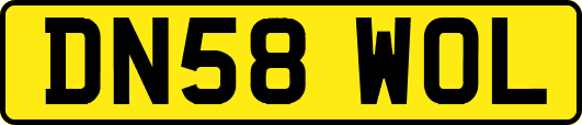 DN58WOL