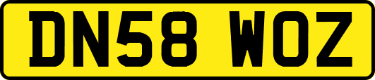 DN58WOZ