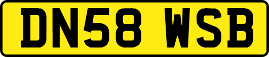 DN58WSB