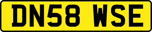 DN58WSE