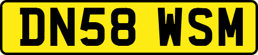 DN58WSM
