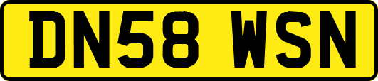 DN58WSN