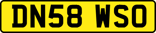 DN58WSO