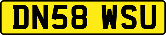 DN58WSU