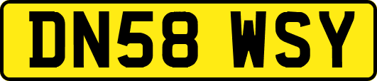 DN58WSY