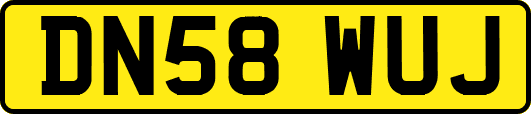 DN58WUJ