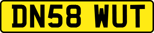 DN58WUT